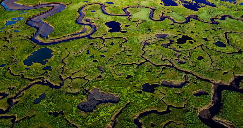 This image is of a salt marsh in coastal Maine. The high-resolution, land cover mapping NOAA has done for the state captures the tidal creeks, pannes, pools, and vegetation with far greater precision and detail than past 30-meter mapping.