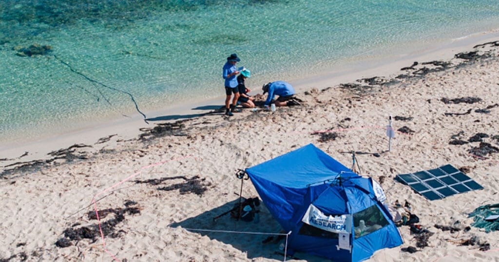 Sampling surface water quality—recording salinity, temperature, depth, dissolved oxygen and pH.