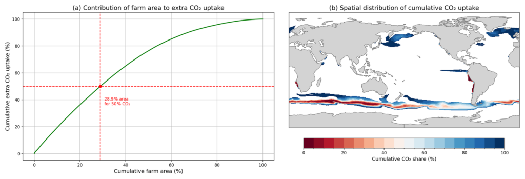 Image above shows large variation in CO2 uptake within macroalgae cultivation areas. (a) Model grid cells are sorted by their quantitative contributions to additional CO2 uptake and then the associated cultivation area and CO2 uptake are accumulated. (b) Geographical distribution of cultivation area which contributes the most to additional CO2. Deep red regions are those that contribute most to CO2 uptake, while deep blue regions contribute least. 