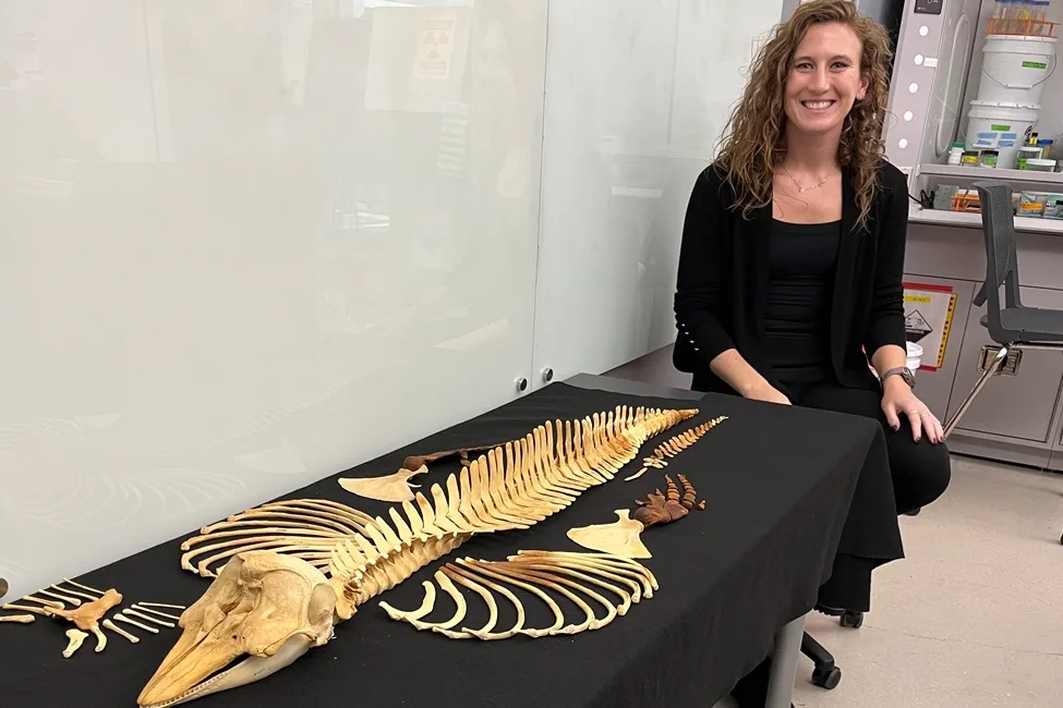 Jamie Knaub en la foto con el esqueleto completo de un espécimen muy raro de vaquita hembra recolectado en 1966.