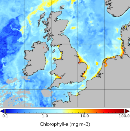 Satellite chlorophyll for May 2012. Blue colors show low chlorophyll, indicating low primary production; yellow to red colors show medium to high chlorophyll, indicating the same upper range in primary production. (Image credit: The satellite image is comprised of European Space Agency Multi-sensor Ocean Color Climate Change Initiative (OC-CCI) images that are composited over the period 25 May 2012 to 27 May 2012. 