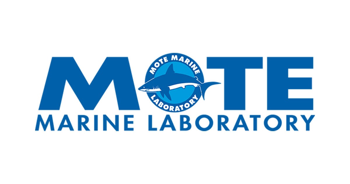 MOTE Logo