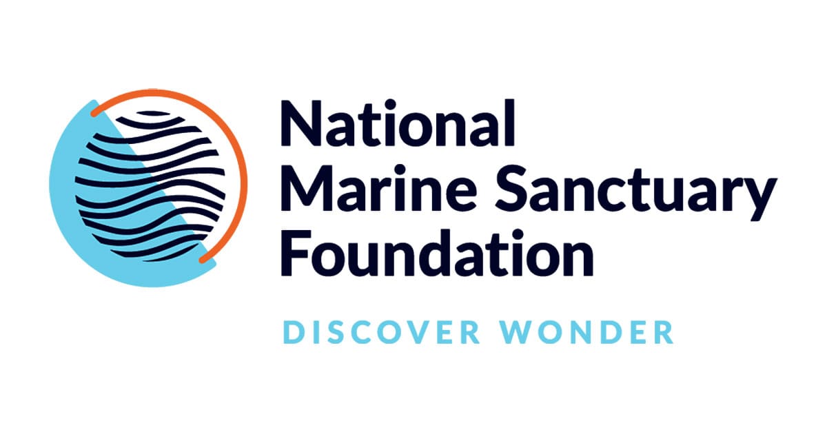NMSF Logo