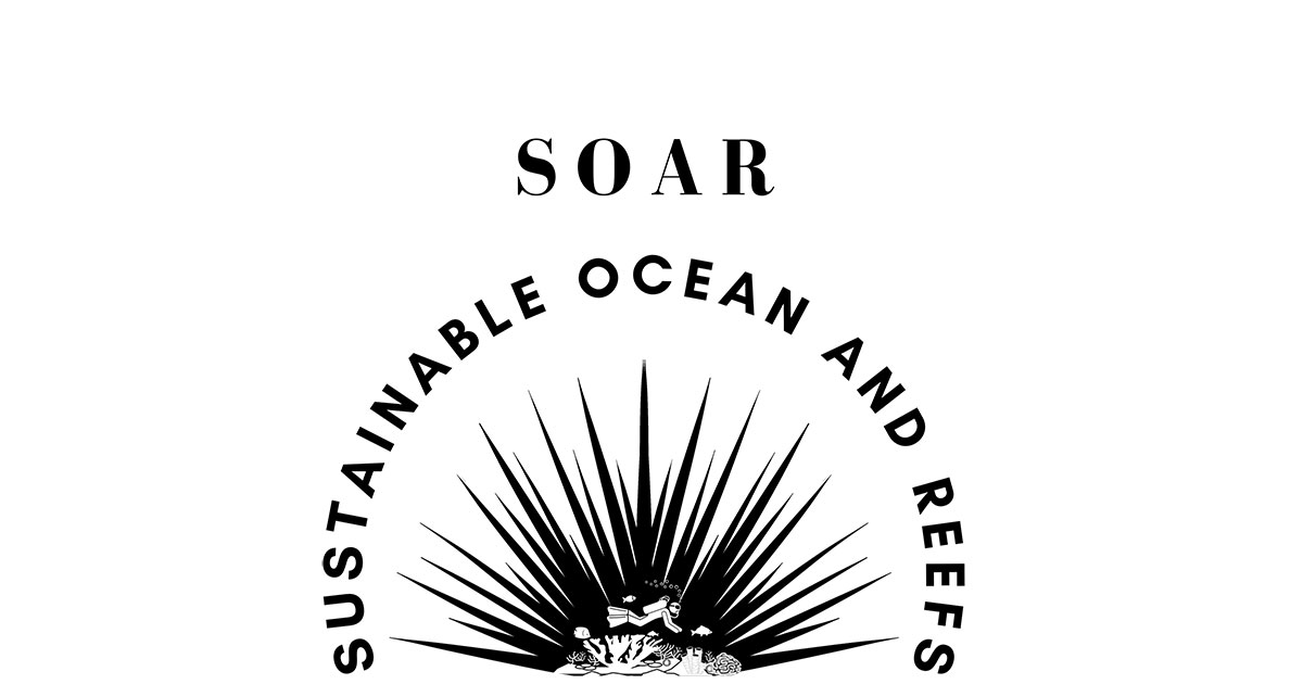 SOAR Logo