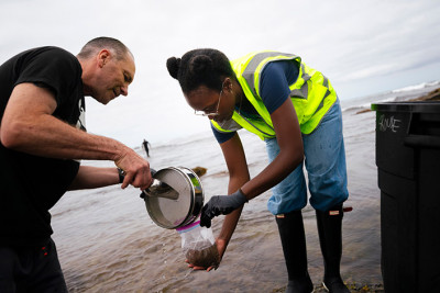 Scripps marine biologist Greg Rouse and recent Scripps graduate Siara Mitchell collect algae samples in the field. (Image credit: Erik Jepsen, UC San Diego)