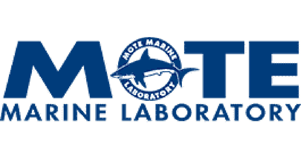 MOTE Logo