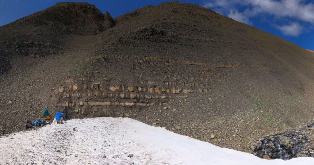 Members of a field team examine an outcrop of rock layers in Grotto Creek in Alaska's Wrangell–St. Elias National Park in 2019.