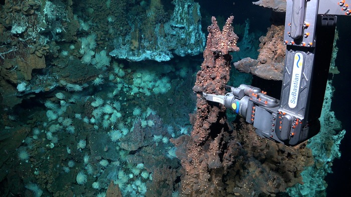 ROV SuBastian pilots collect a geologic sample from a hydrothermal vent chimney nearly 3,890 meters (2.4 miles) deep. Scientists discovered two new hydrothermal vent fields in one of the least explored areas of the Atlantic Ocean, the Doldrums Megatransform and Fracture Zone. This large, tectonically active system cuts across the Mid-Atlantic Ridge, which forms the world’s longest mountain chain. These types of vent fields are rare because of their hybrid “plumbing” systems, featuring typical volcanic venting alongside serpentinization, a chemical reaction that occurs when rocks from the Earth’s mantle are exposed to seawater. (Image credit: Schmidt Ocean Institute)