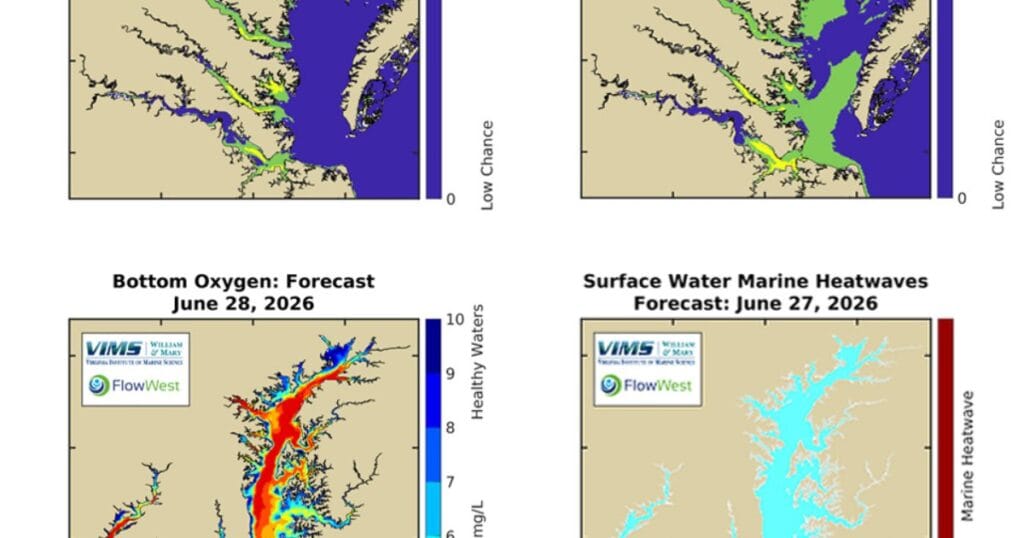 A sampling of the new and expanded forecasts available through the Chesapeake Bay Environmental Forecast System. (Image credit: NOAA)