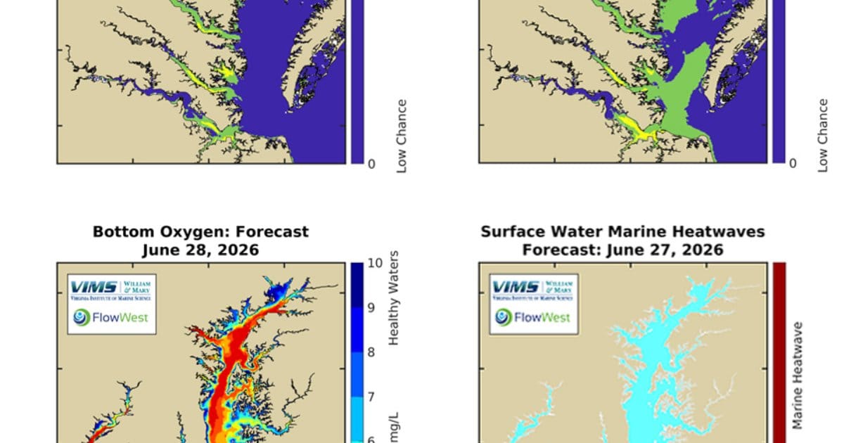 A sampling of the new and expanded forecasts available through the Chesapeake Bay Environmental Forecast System. (Image credit: NOAA)
