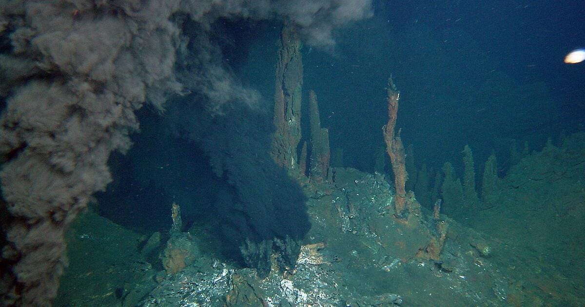 Hydrothermal vents at the Rainbow site.