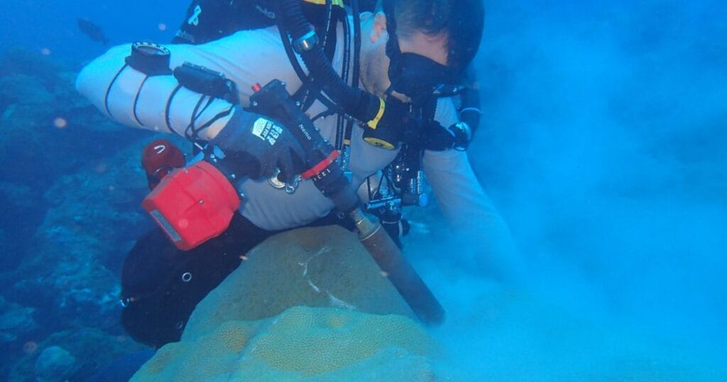 NOAA Scientists Dive Deep to Study Coral Resilience at Flower Garden Banks