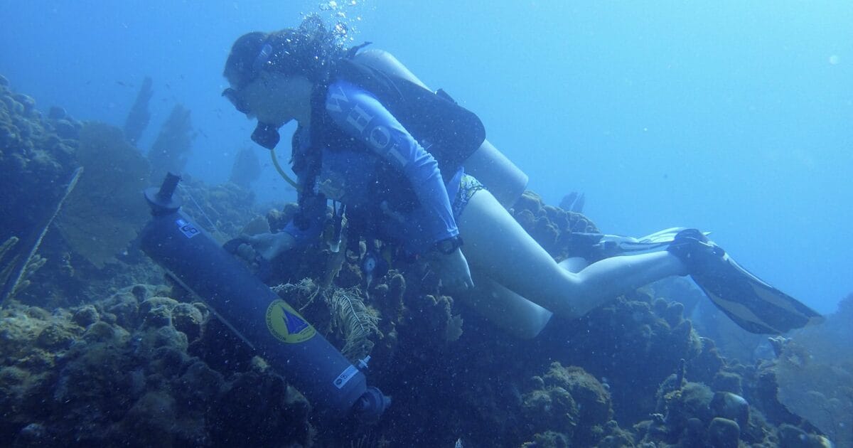 Cynthia Becker, MIT-WHOI Joint Program graduate and study co-author, samples the coral reef seawater using a Niskin bottle to support the non-invasive analysis of reef water microbes and metabolites. (Image credit: Amy Apprill, Woods Hole Oceanographic Institution)