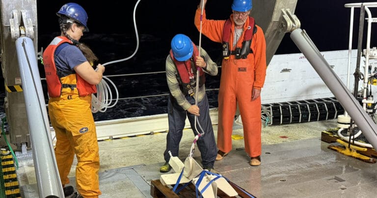 Bigelow Laboratory for Ocean Sciences researchers are conducting multi-season expeditions across the Sargasso Sea and Cape Verde. (Credit: Bigelow Laboratory for Ocean Sciences)