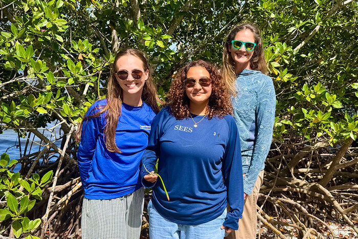 From left, Devan Hildebrand, Valentina Gomez and Elizabeth Salewski, Ph.D., are part of the mangrove restoration project team at the Harbor Branch Seagrass Nursery. (Image credit: FAU)