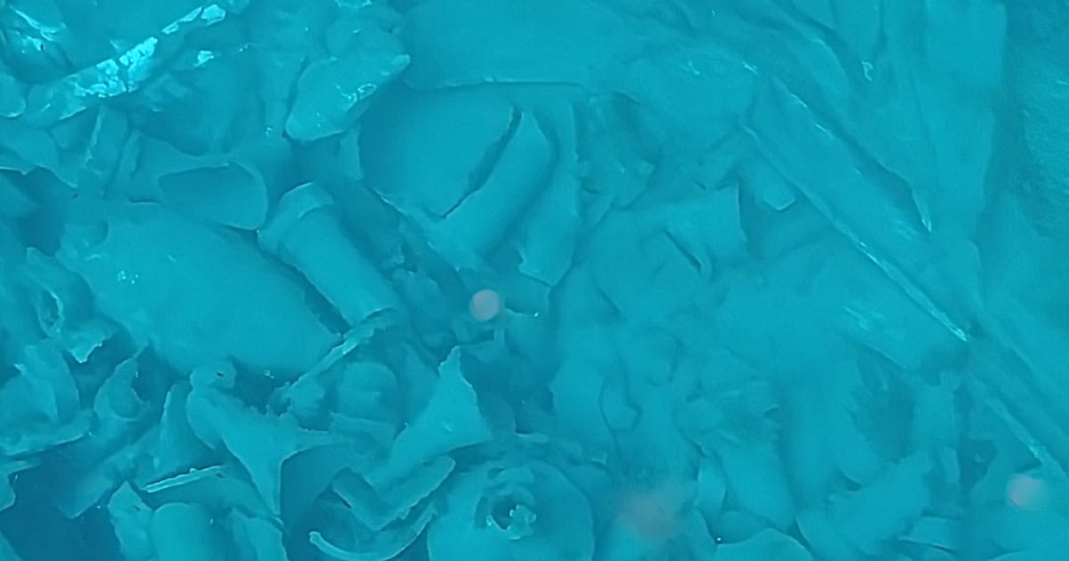 Amphorae and ceramic fragments visible on the seabed. (Credit: EdgeLab)
