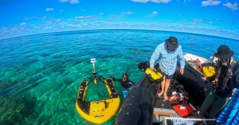 Robotics systems being deployed at Kuaihelani. (Photo credit: Jeff Kuwabara)