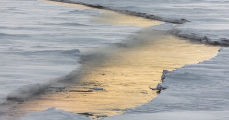 Antarctic Sea Ice, Weddell Sea. Photo: Alfred Wegener Institute / Stefan Hendricks