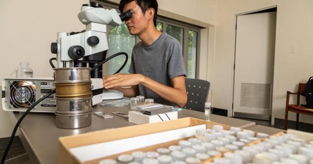 Jonathan Chen, the study's lead author, examines foraminifera fossils under a microscope. (Image credit: Northwestern University)