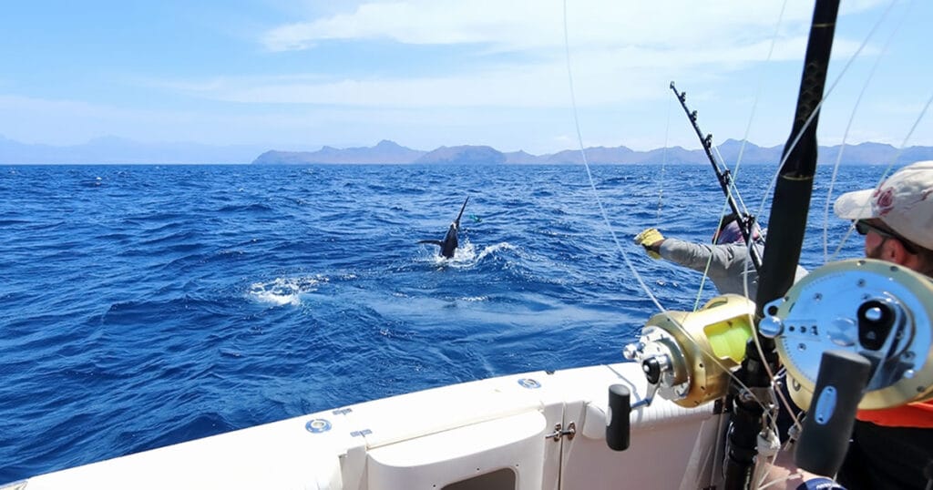 Sport Fishing