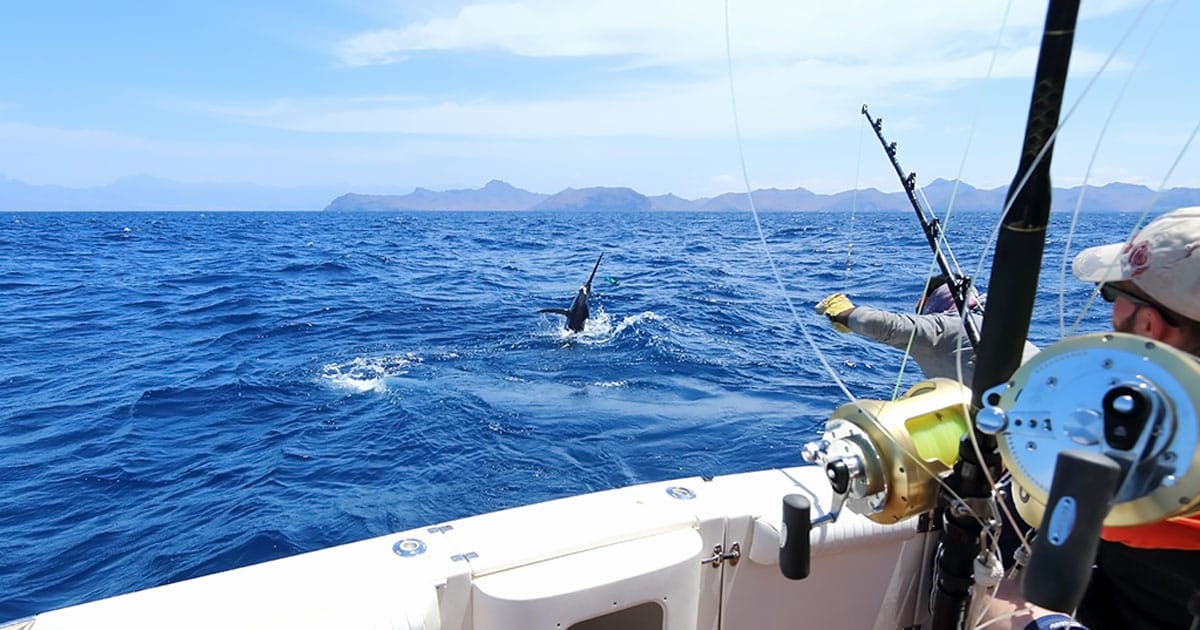 Sport Fishing