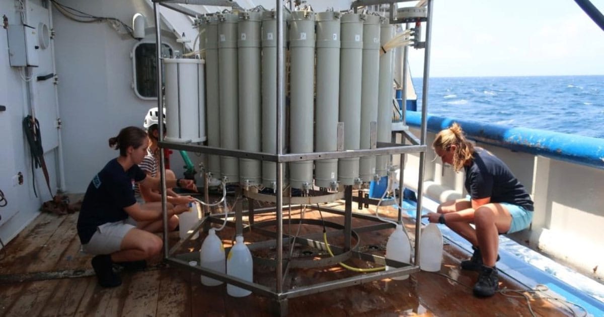 Taking samples from the CTD-rosette