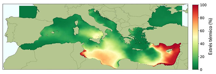 Map of Invisible Cumulative Thermal Stress is Fragmenting Posidonia Oceanica Meadows