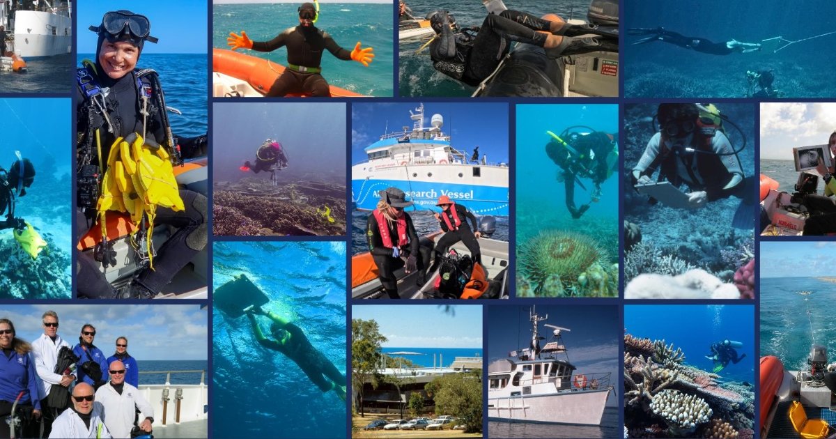 Collage of AIMS Long-Term Monitoring Program over the years, with scientists underwater and on boats doing coral reef surveys. (Image credit: AIMS)