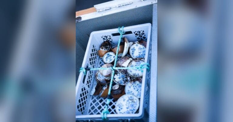 Large quantities of Chinese porcelain were recovered from the wreck.