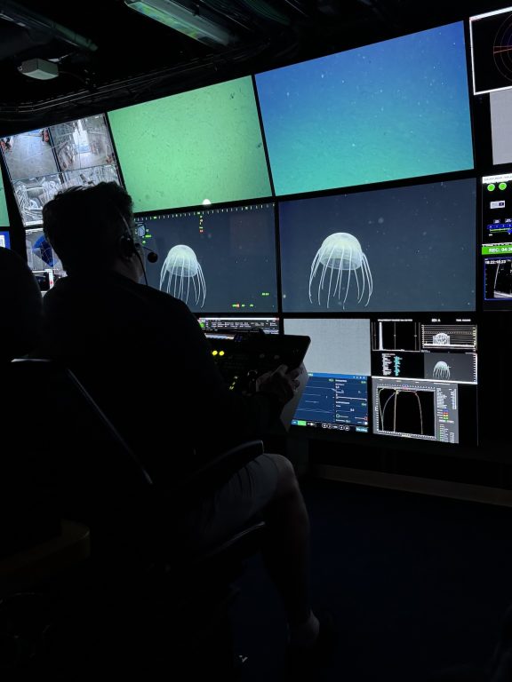 Operated from a command center in the heart of R/V David Packard, ROV Doc Ricketts provided the team an opportunity to study animals in the bathypelagic zone and on the abyssal seafloor.