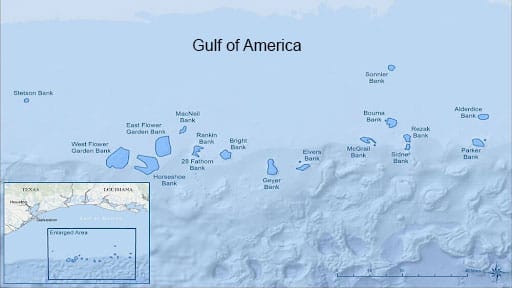 Flower Garden Banks National Marine Sanctuary (FGBNMS) is the only sanctuary located in the Gulf of America with 17 banks situated 80 to 125 miles off the coasts of Texas and Louisiana.