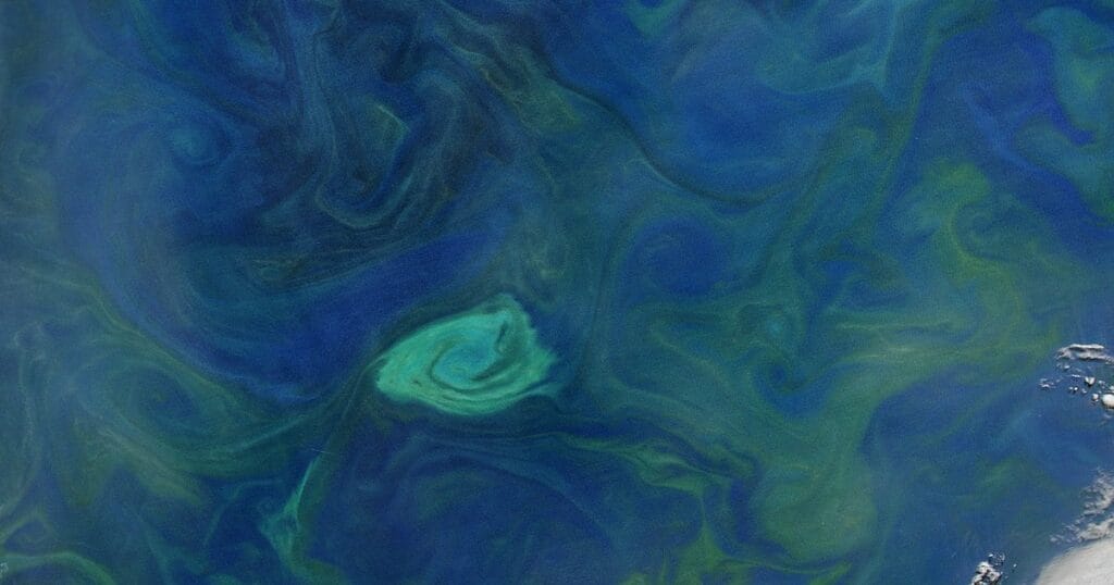 A phytoplankton-brightened cyclonic eddy swirling in the Tasman Sea, captured by Aqua/MODIS.
