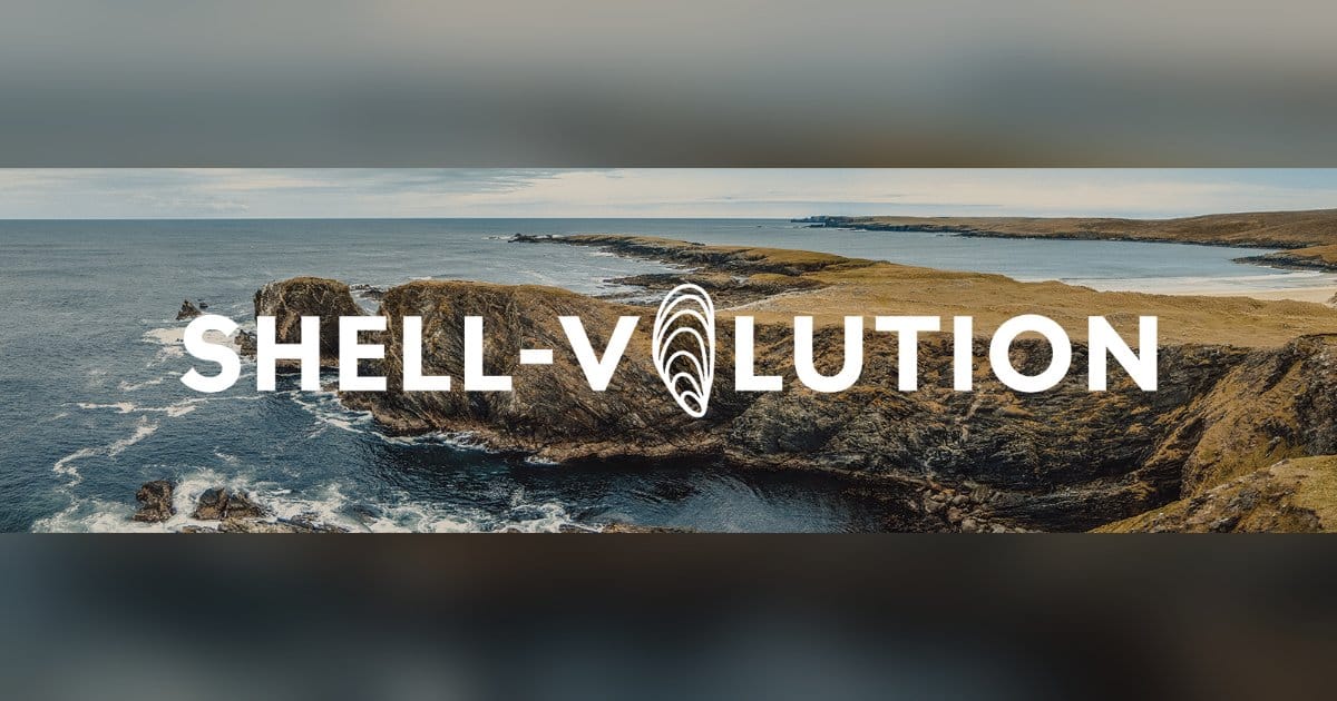 Shell-volution Poster