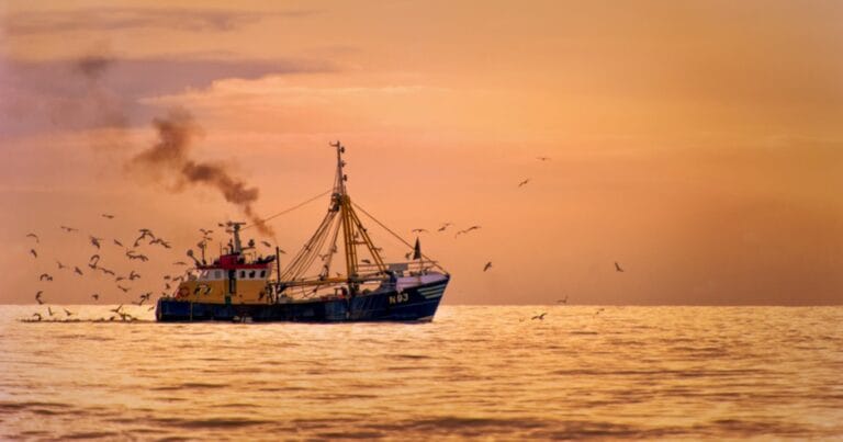 New study proposes climate resilience strategy to strengthen US seafood competitiveness. (Credit: University of Miami)