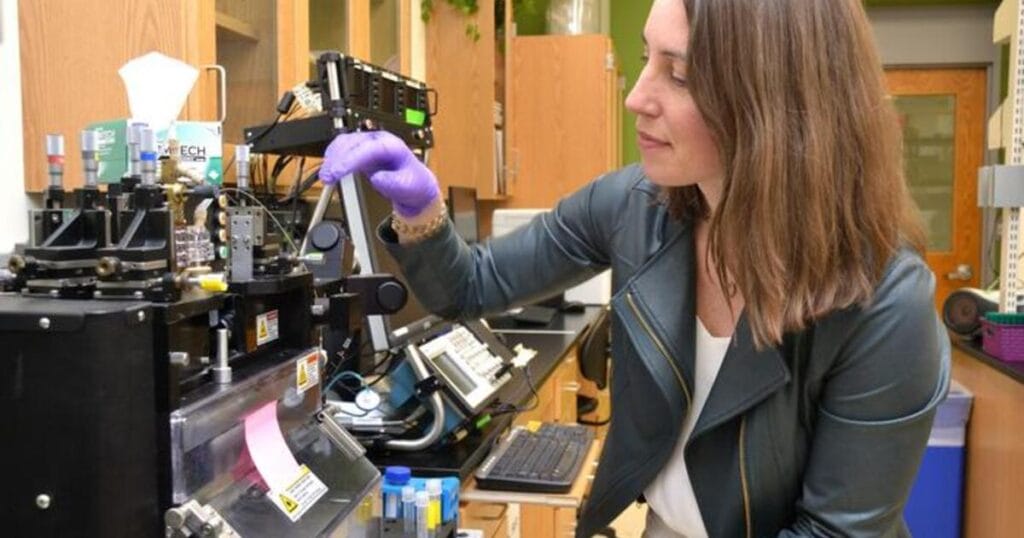 Portland State marine biologist Anne Thompson has received one of the National Science Foundation's top honors for early-career scientists, the CAREER Award. (Image credit: Portland State University)