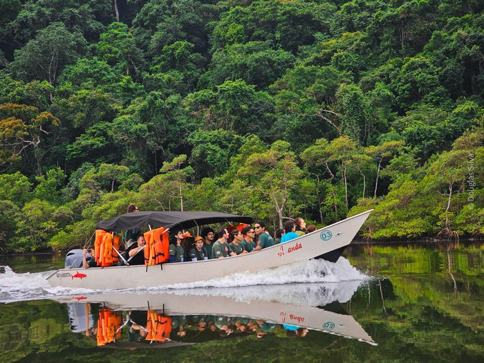 Environmental monitoring conducted under the integrated mangrove management program, São Paulo, Brazil. (Image credit: Fundação Florestal)