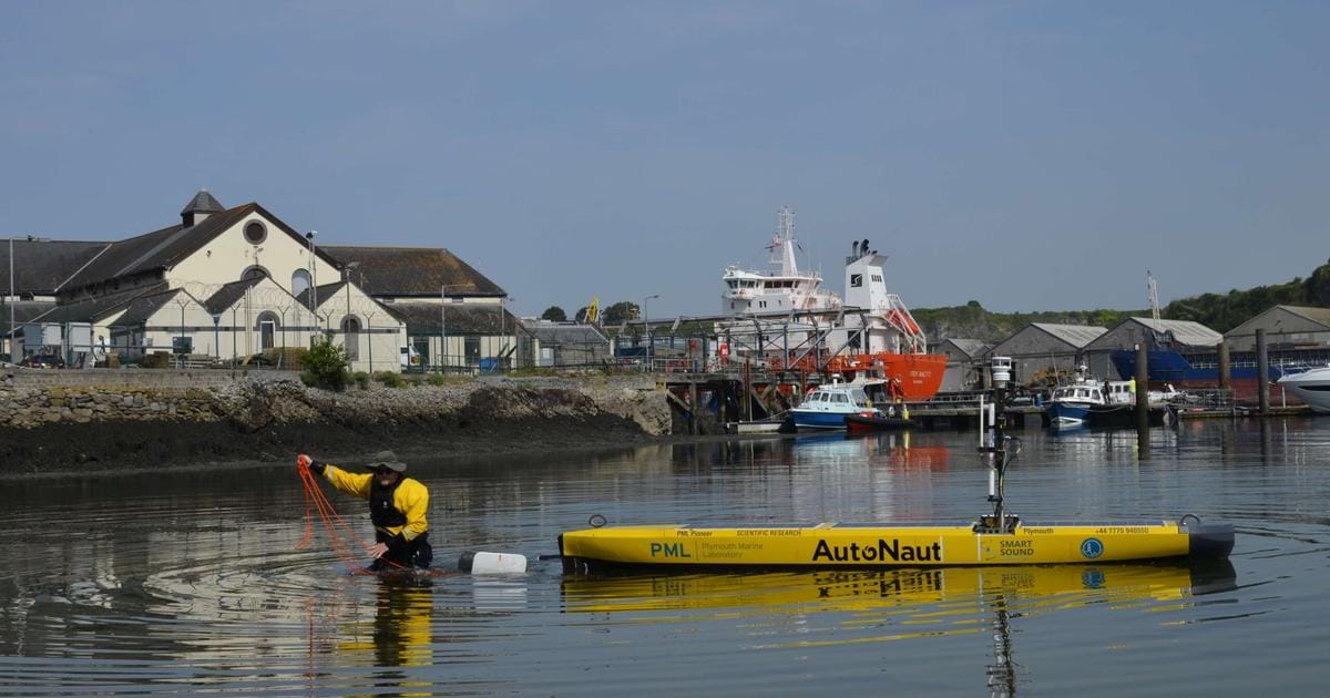 Floating Offshore Wind Ecosystems