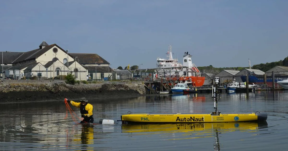 Floating Offshore Wind Ecosystems