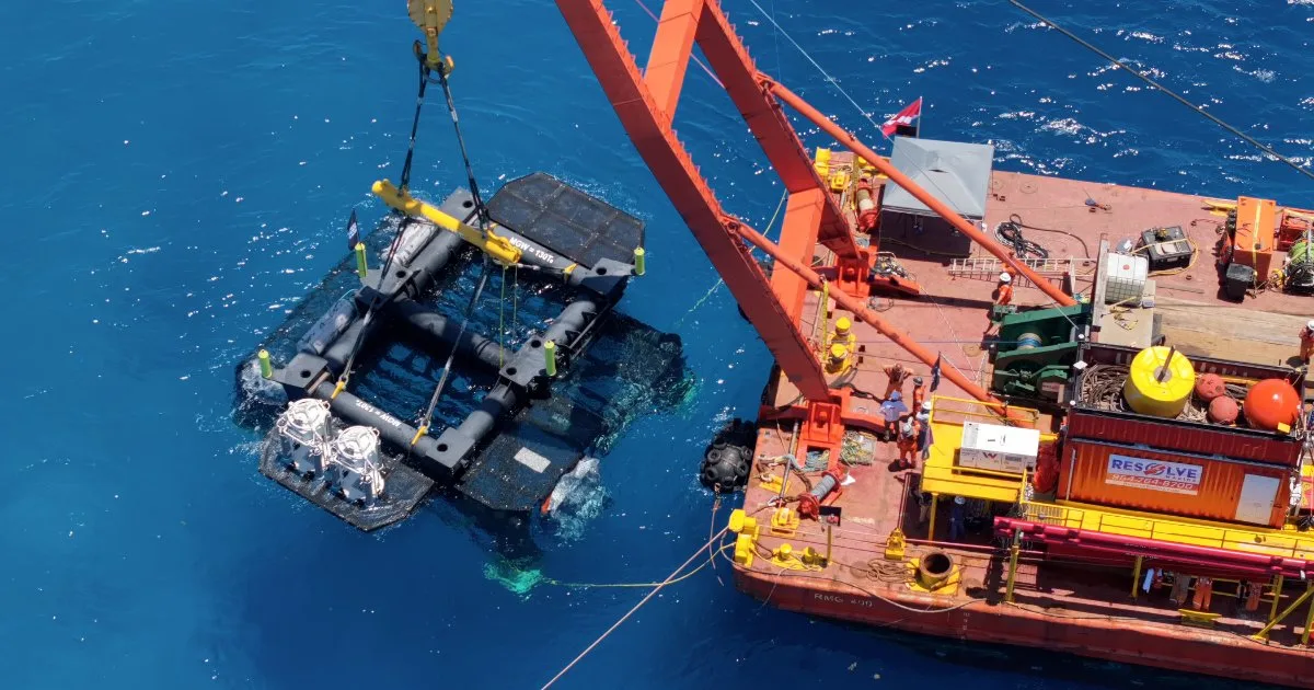 Engineered Seabed Foundation and Habitat Infrastructure