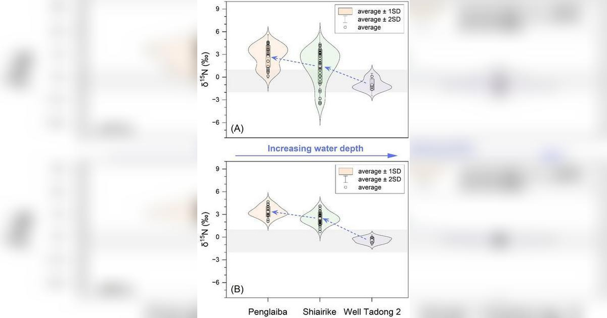 Butterfly distribution plots illustrating the spatial variation of δ15N values across the Tarim Basin during the Terreneuvian, showing a persistent depth-dependent redox gradient from shallow inner ramp to deep basin settings. (Image credit: Shiyan Liu/ Northwest University, Zhenfei Wang/ Nanjing University, Pengcheng Ju/ University of Science and Technology of China, Chao Chang/ Northwest University)