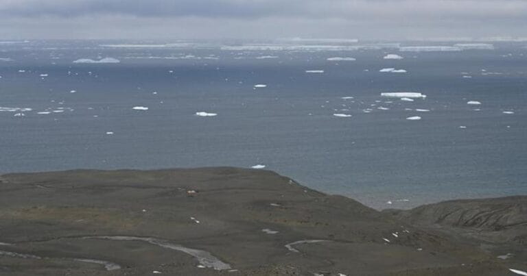 Sampling area: Submeseta Formation on Seymour Island. (Image credit: Boyang Xia et al., 2026)