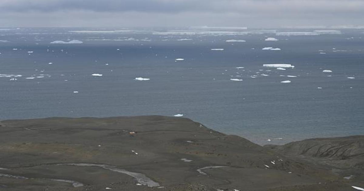 Sampling area: Submeseta Formation on Seymour Island. (Image credit: Boyang Xia et al., 2026)