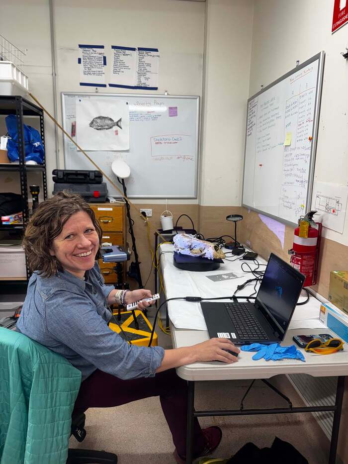 Sarah Kienle, Director of URI's Comparative Ecophysiology of Animals Lab (CEAL). (Image credit: URI)