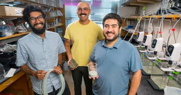 This photo shows Amogh Jalihal, Neil Dalvie, and team member Mohammed Hijaz in the rockweathering lab that they equipped with multiple rock-seawater bioreactors to pursue their rockweathering study. (Image credit: Wyss Institute at Harvard University)