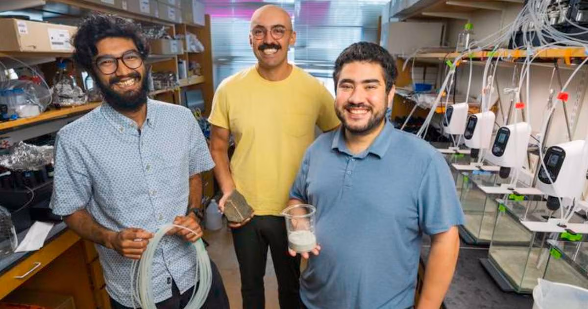This photo shows Amogh Jalihal, Neil Dalvie, and team member Mohammed Hijaz in the rockweathering lab that they equipped with multiple rock-seawater bioreactors to pursue their rockweathering study. (Image credit: Wyss Institute at Harvard University)
