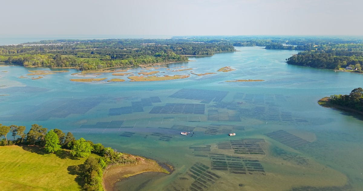 Coastal aquaculture