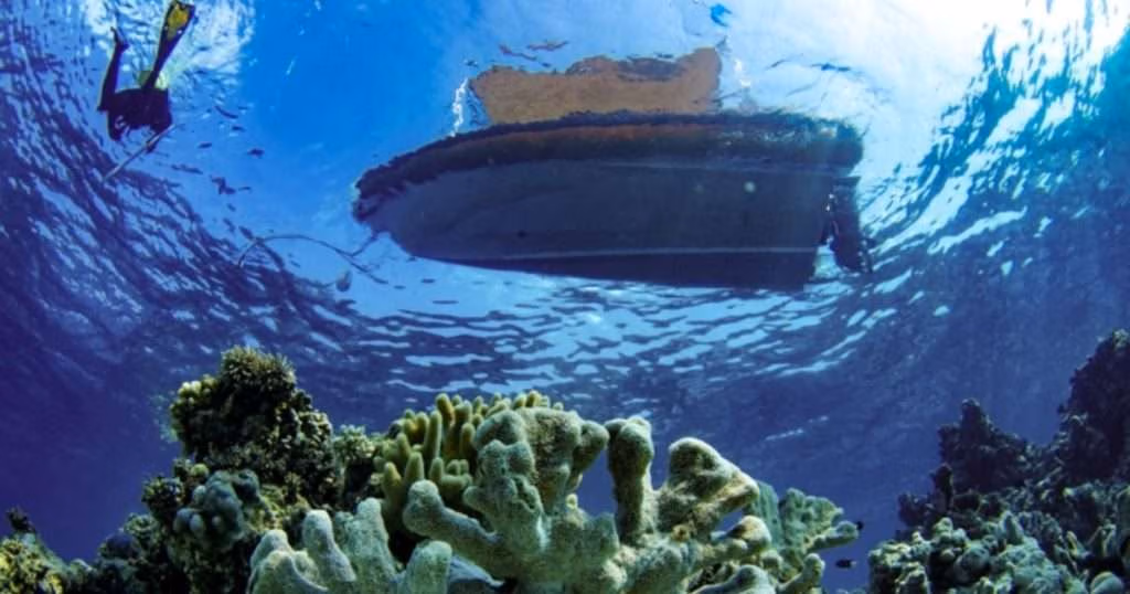 Photo looking up from a coral reef towards a boat at the water surface. A snorkeller is visible near the vessel while healthy corals occupy the foreground beneath clear blue water at Rowley Shoals, Western Australia. Monitoring at the Rowley Shoals, Western Australia. (Image credit: Nick Thake)