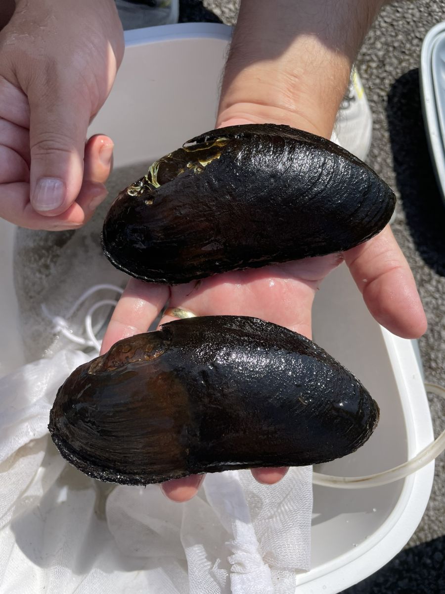 (Image credit: The Marine Institute)