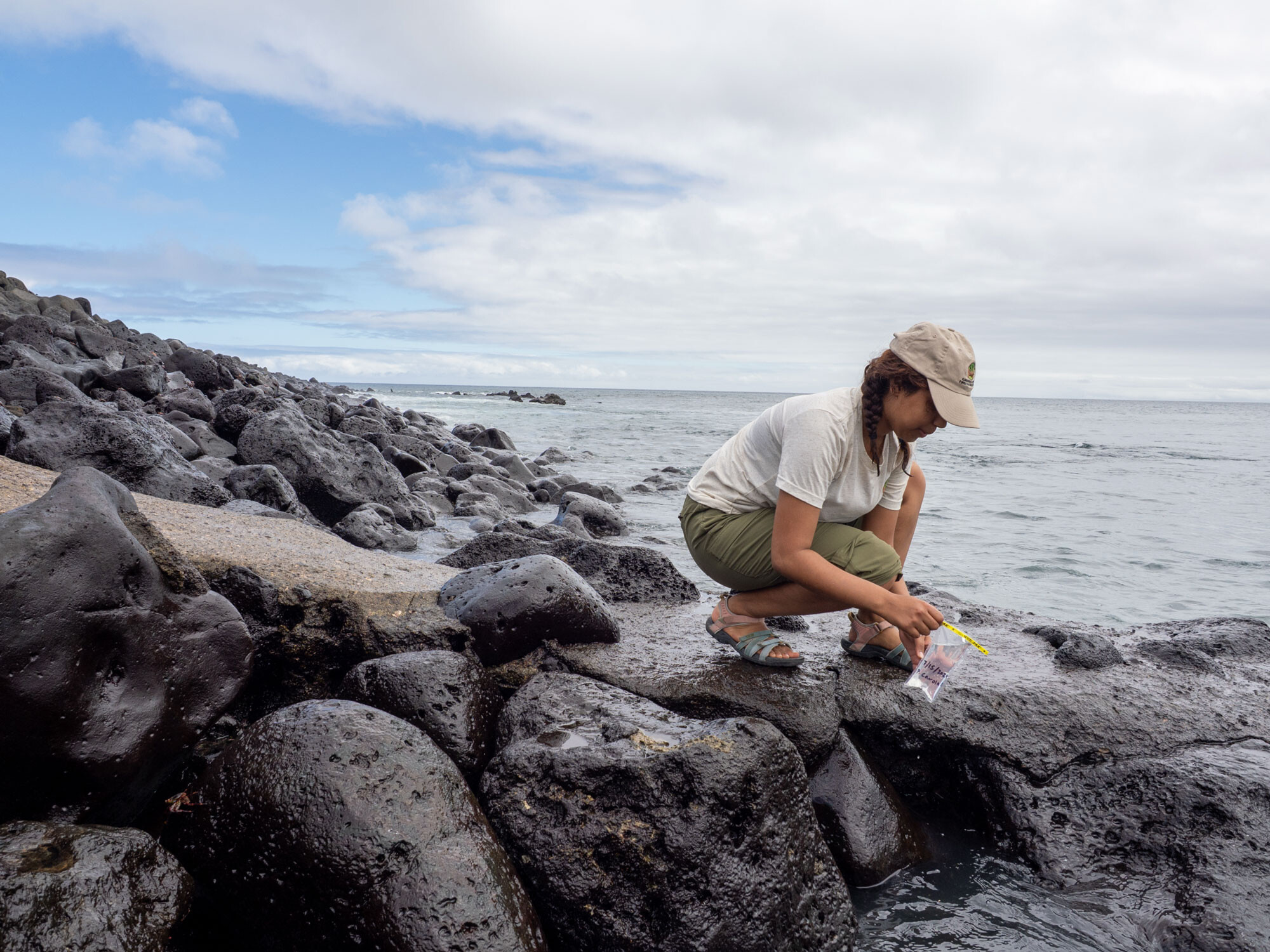 Maya Mathur collects a water sample at Punta Carola. (Images: Jane Riopelle, Dan Beiting, Lisa Mattei, and Dan Beiting)