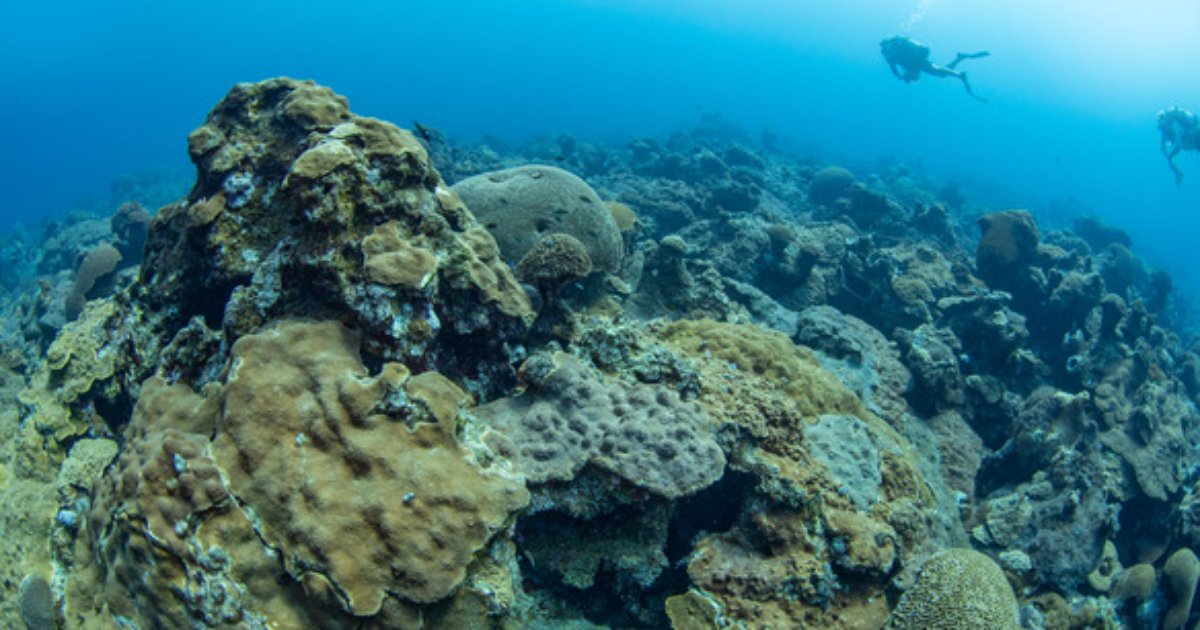 (Image credit: NOAA)